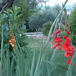 La Torretta Oda ve Kahvaltı Tavullia