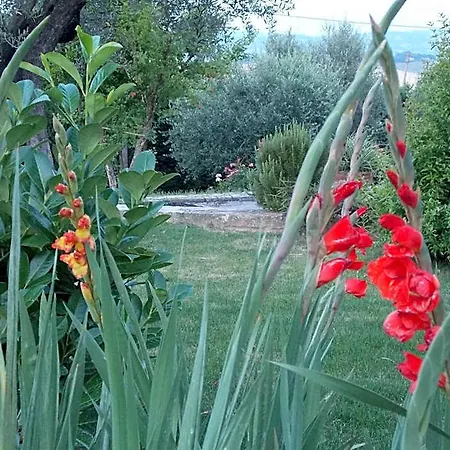 La Torretta 3* Tavullia