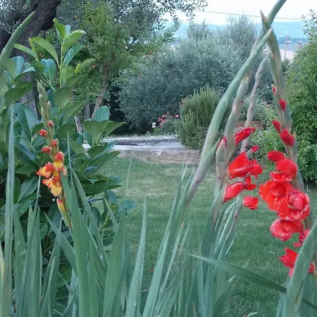 La Torretta Bed & Breakfast Tavullia