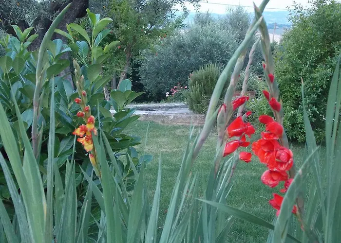 La Torretta Bed & Breakfast Tavullia